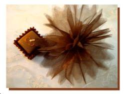 10 Tulles en Organdi chocolat