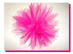 10 Tulles Organdi dentellé fuchsia