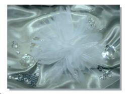 10 Tulles en Organdi blanc