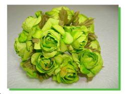 12 Fleurs vert anis