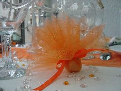 10 Tulles en Organdi orange