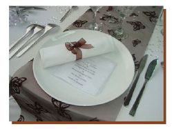 Chemin de table organdi papillons chocolat  