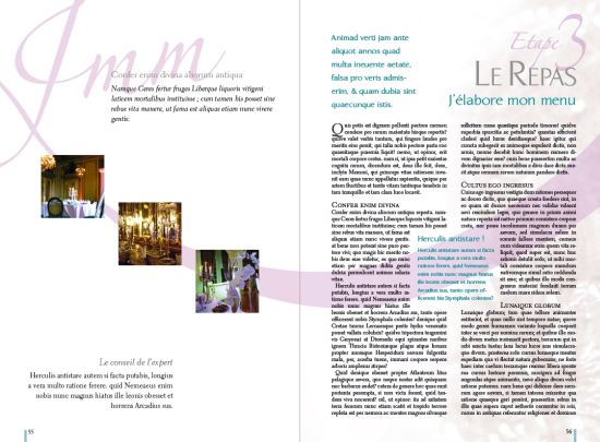 Le guide du mariage - Organisation de mariage dans le 95