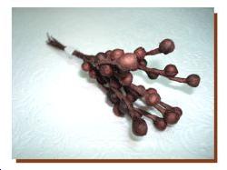 8 Branches petites boules chocolat