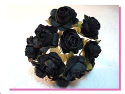 12 Fleurs noires