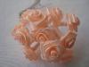 12 mini roses couleur saumon foncé