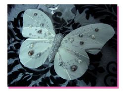 2 Papillons blancs avec perles nacrées
